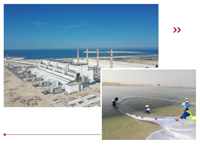 尊龙凯时【首页官网】人生就是博!