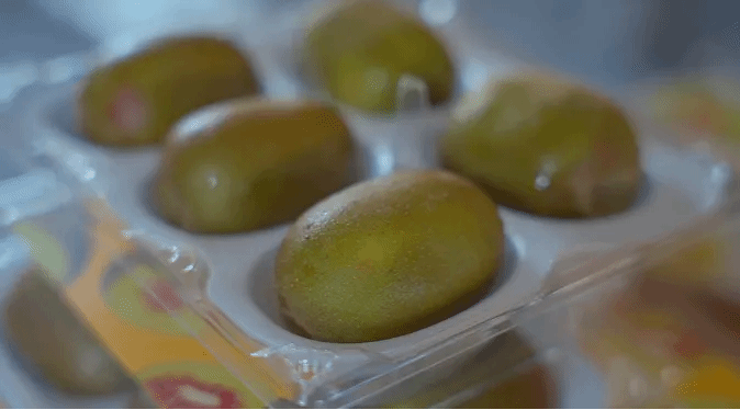 尊龙凯时【首页官网】人生就是博!