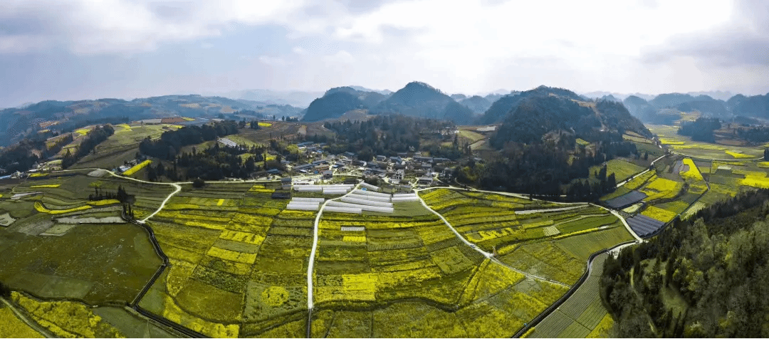 尊龙凯时【首页官网】人生就是博!