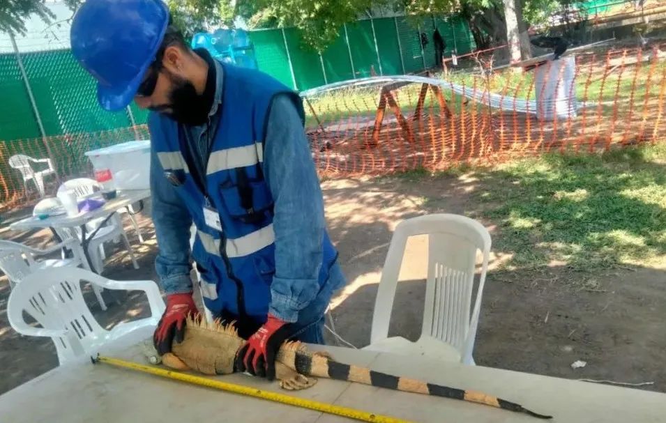 尊龙凯时【首页官网】人生就是博!