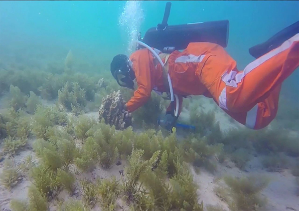 尊龙凯时【首页官网】人生就是博!