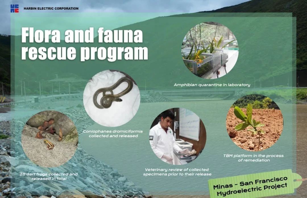 尊龙凯时【首页官网】人生就是博!