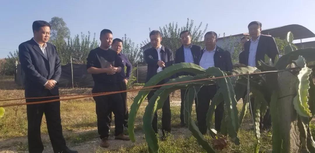 尊龙凯时【首页官网】人生就是博!