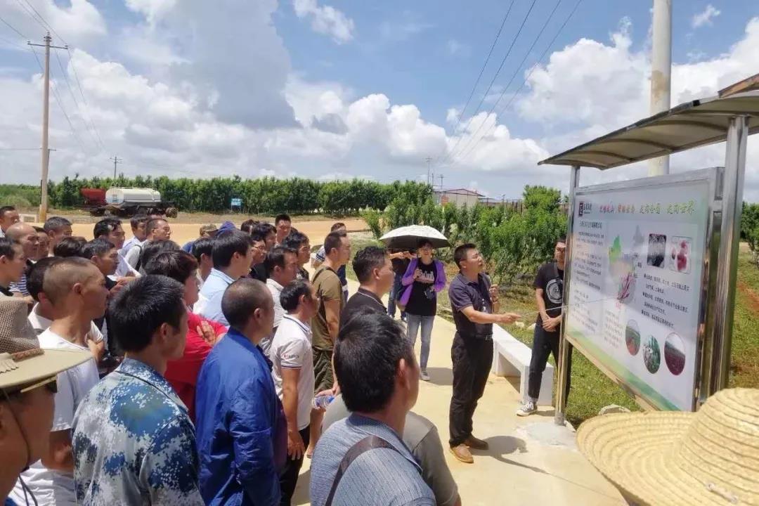 尊龙凯时【首页官网】人生就是博!