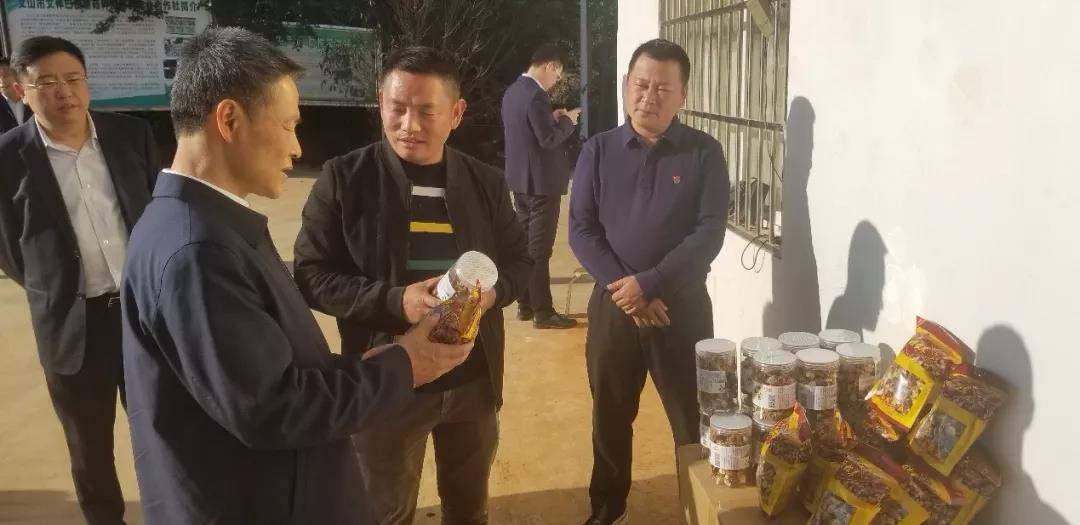 尊龙凯时【首页官网】人生就是博!