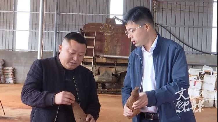 尊龙凯时【首页官网】人生就是博!