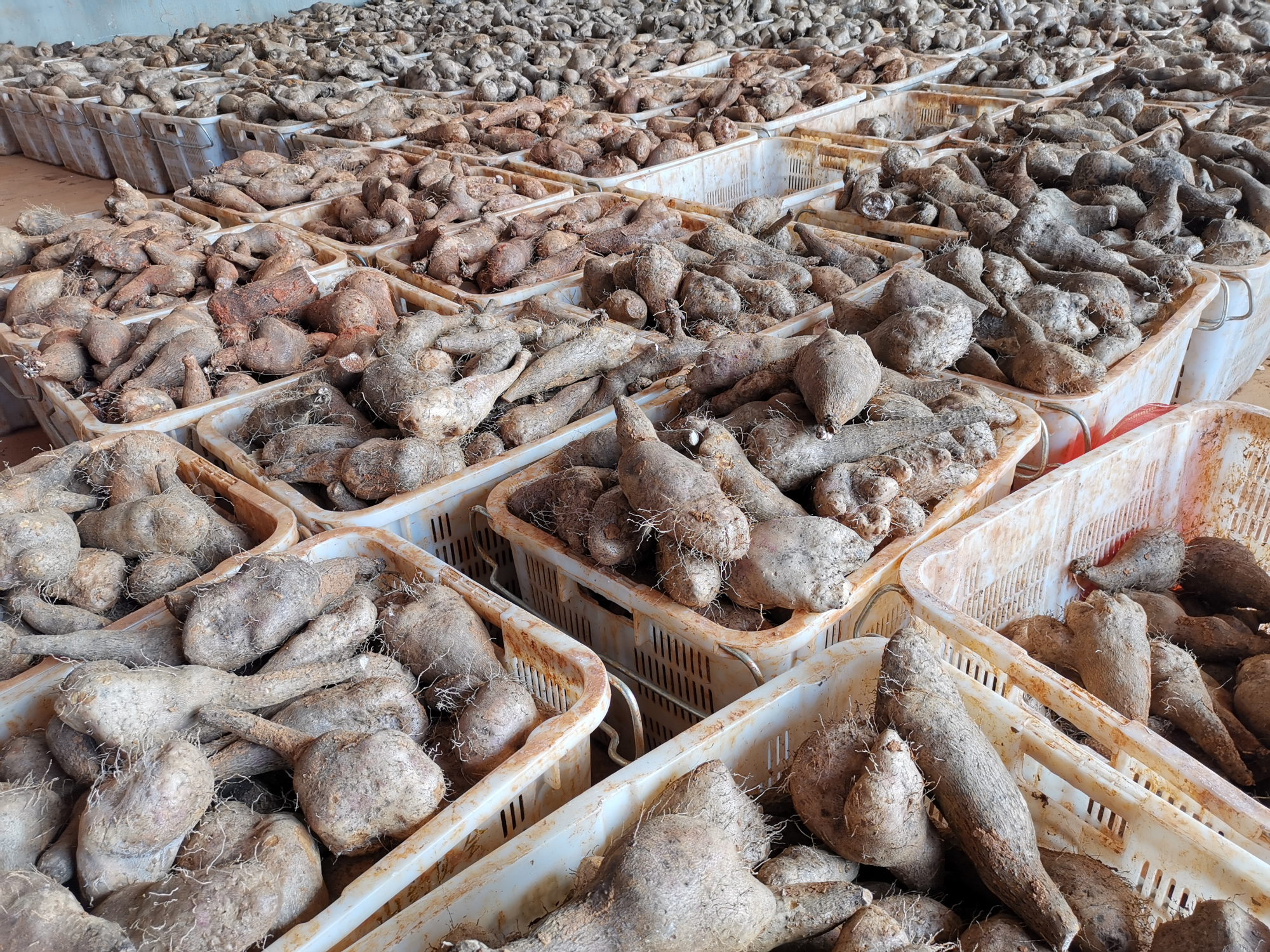 尊龙凯时【首页官网】人生就是博!